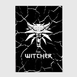 Постер The Witcher