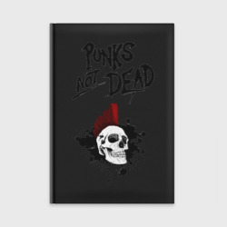 Ежедневник Punks not dead