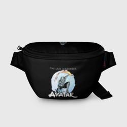Поясная сумка 3D Аватар Легенда об Аанге