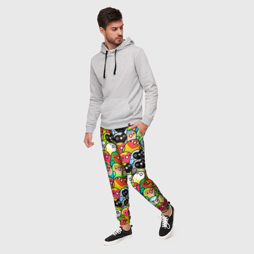 Мужские брюки 3D Папуги, цвет 3D печать - фото 3