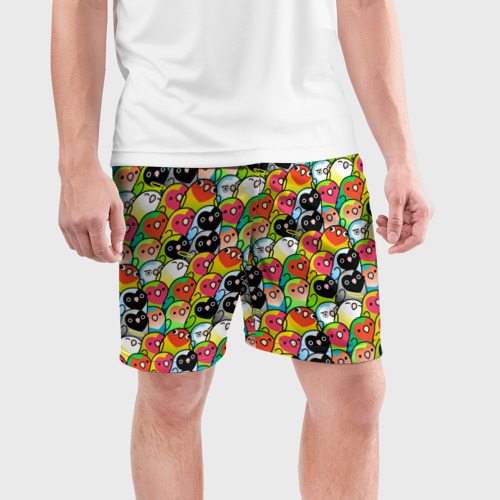 Мужские шорты спортивные с принтом Папуги, фото на моделе #1