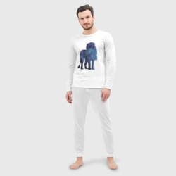 Мужская пижама с лонгсливом хлопок Созвездие Льва - фото 2