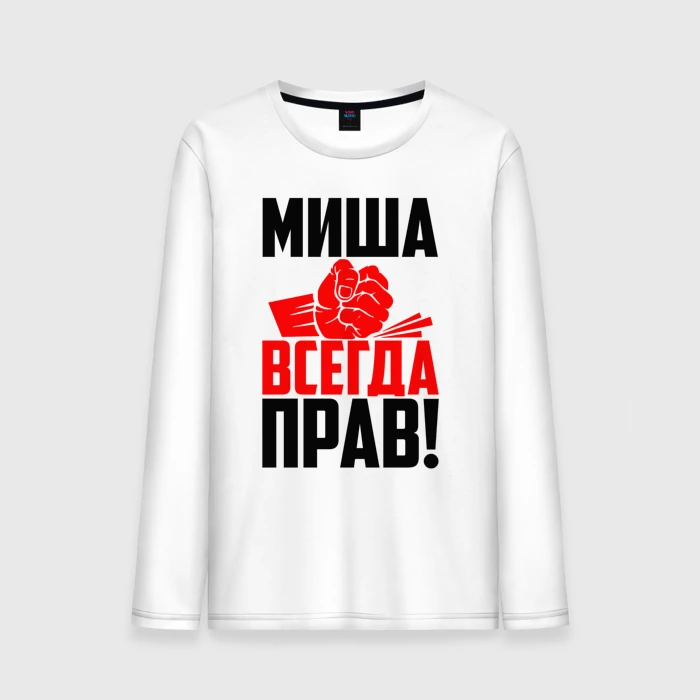 Миша всегда прав картинки