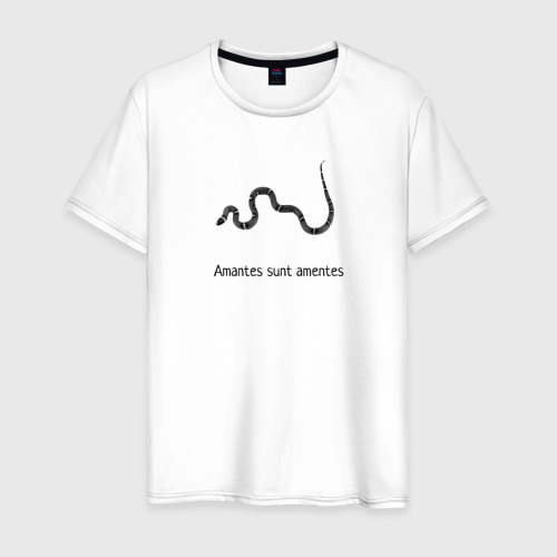 Amantes sunt amentes тату. Amantes sunt amentes тату. Фраза на латыни влюбленные безумные. Влюбленные сумасшедшие на латыни. Влюбленные безумные на латинском.