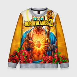 Детский свитшот 3D Borderlands 3