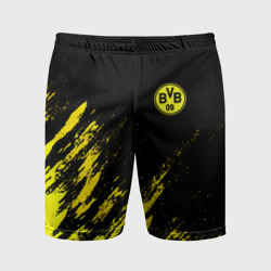 Мужские шорты спортивные Borussia