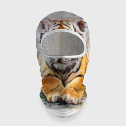 Балаклава 3D Tiger Art