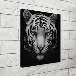 Холст квадратный Белый Тигр - фото 2