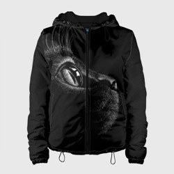 Куртка демисезонная Черный кот (Женская)