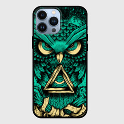 Чехол для iPhone 13 Pro Max Тотемная сова