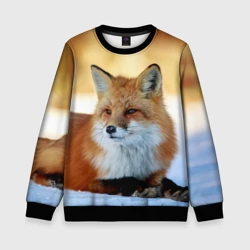 Детский свитшот 3D Лиса