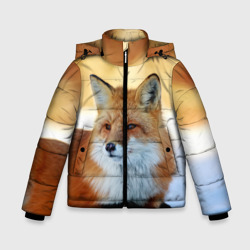 Лиса – Зимняя куртка для мальчиков 3D с принтом купить
