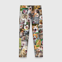 Детские леггинсы 3D Неко ахегао цвет коты паттерн