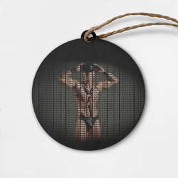 Деревянная игрушка круг Dungen Master color