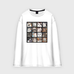 Мужской лонгслив oversize хлопок Коты из мемов