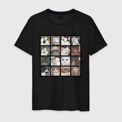 Мужская футболка хлопок Коты из мемов