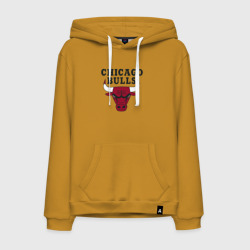 Мужская толстовка хлопок Chicago Bulls