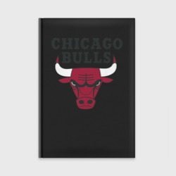 Ежедневник Chicago Bulls