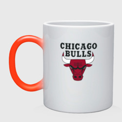 Кружка хамелеон Chicago Bulls