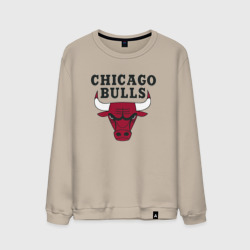 Мужской свитшот хлопок Chicago Bulls