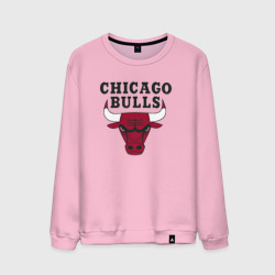 Мужской свитшот хлопок Chicago Bulls