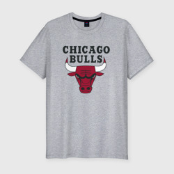 Мужская футболка хлопок Slim Chicago Bulls