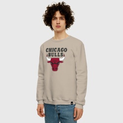 Мужской свитшот хлопок Chicago Bulls - фото 2