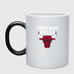 Кружка хамелеон Chicago Bulls