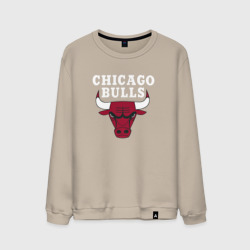 Мужской свитшот хлопок Chicago Bulls