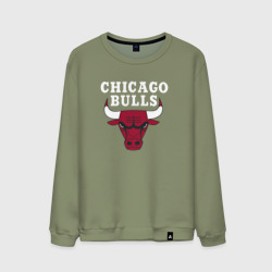 Мужской свитшот хлопок Chicago Bulls