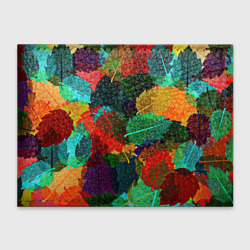 Обложка для студенческого билета Abstract Autumn Leaves