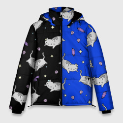 Кисы – Мужская зимняя куртка 3D с принтом купить