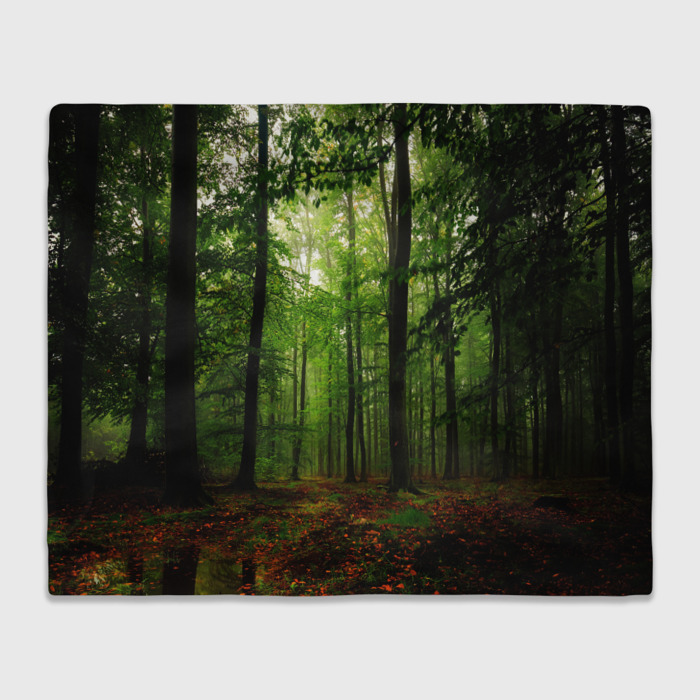 Лес. Квадратики в лесу. Абстракция природа. Атмосферный лес. Дарк форест густой лес.