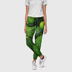 Женские брюки 3D Огурцы - фото 2