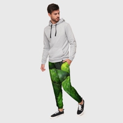 Мужские брюки 3D Огурцы - фото 2