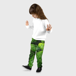 Детские брюки 3D Огурцы - фото 2