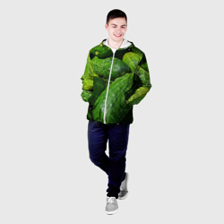 Мужская куртка 3D Огурцы - фото 2