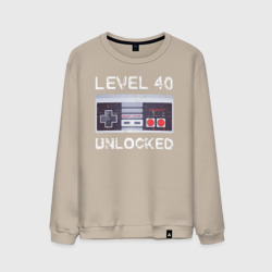 Мужской свитшот хлопок Level 40 Unlocked