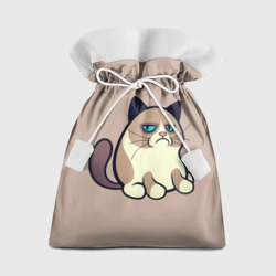 Подарочный 3D мешок Великий Grumpy Cat