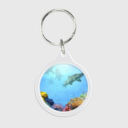 Брелок круглый Акулы