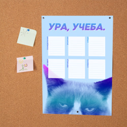 Постер Grumpy Cat. Расписание уроков - фото 2