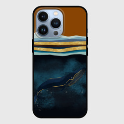 Чехол для iPhone 13 Pro Кит