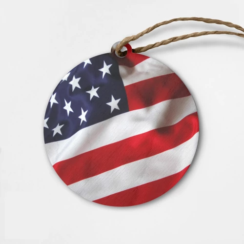 Деревянная игрушка круг США USA