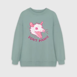 Женский свитшот oversize без начеса хлопок Dont panic