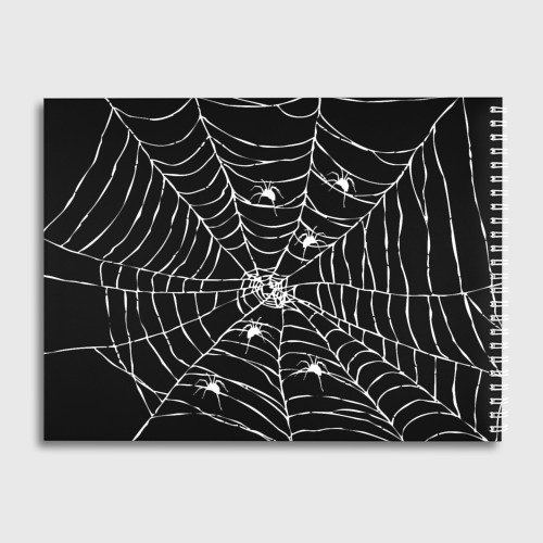 Альбом для рисования Паутина с пауками - фото 2