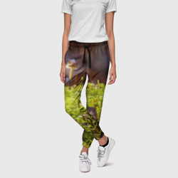 Женские брюки 3D Мох - фото 2