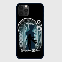 Чехол для iPhone 12 Pro Врата Штейна