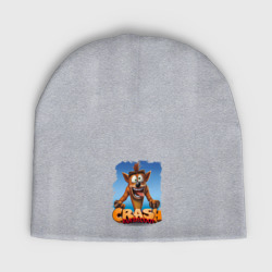 Детская шапка демисезонная Crash Bandicoot Red Logo Крэш Бандикут