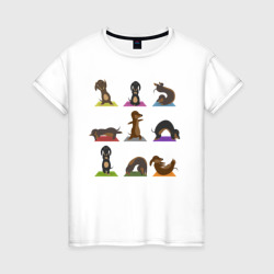 Женская футболка хлопок Таксы и йога