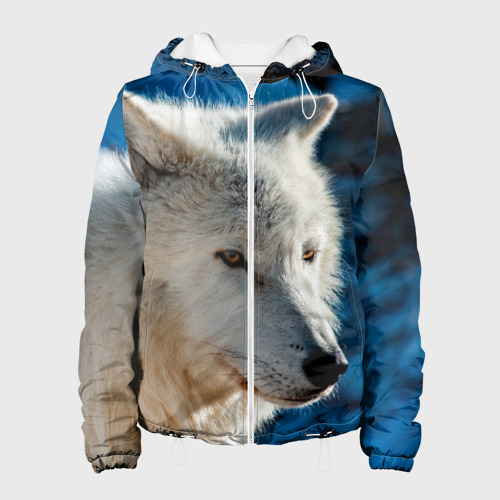 куртка горнолыжная volkl sensortex мужская. волки фирма одежды. Euro wolf куртка. куртка волки мужская. волки фирма одежды.